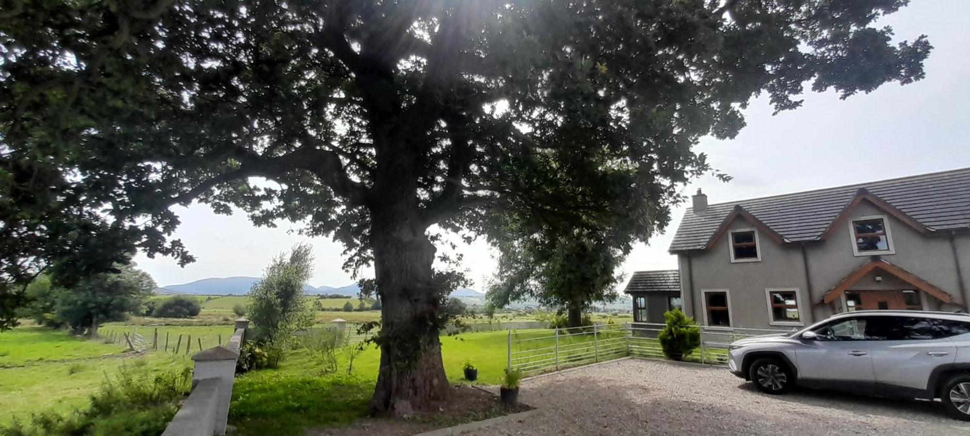 Oaktree Manor Villa Castlewellan Exterior photo